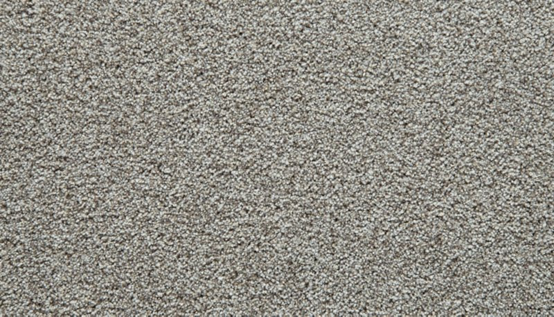 Mohawk Flooring Cozy Companion III