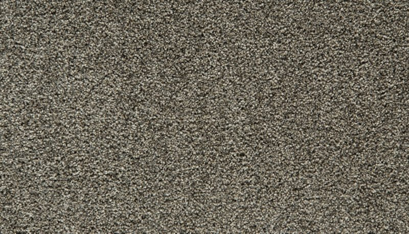 Mohawk Flooring Cozy Companion III