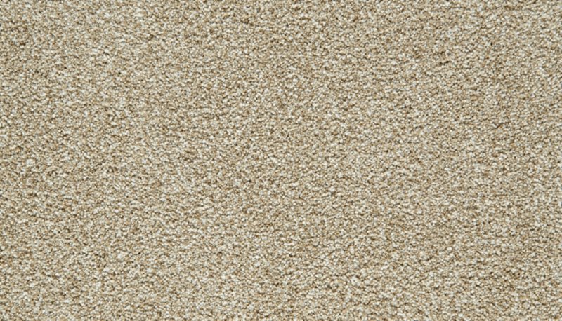 Mohawk Flooring Cozy Companion IV