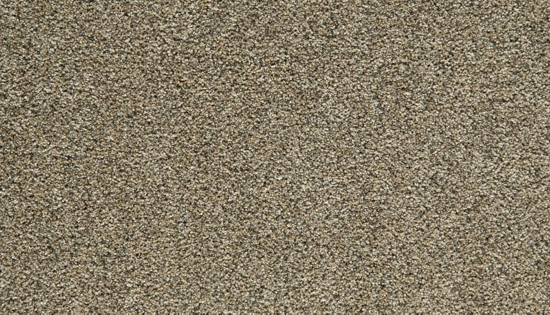 Mohawk Flooring Cozy Companion IV