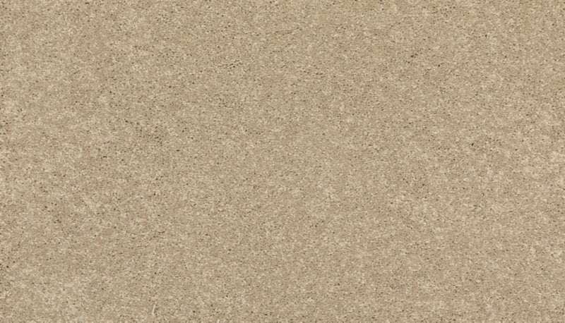Mohawk Flooring New Statement I