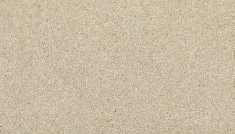 Mohawk Flooring Modern Story III