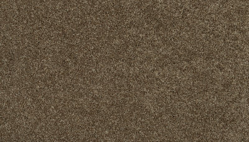Mohawk Flooring Tonal Luxury II