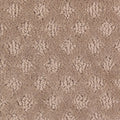 Mohawk Flooring Tasteful Addition