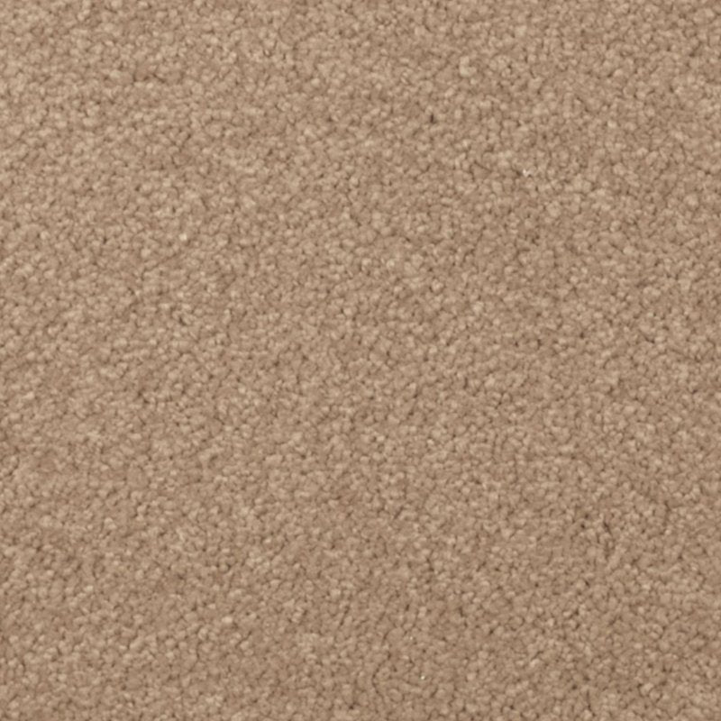Mohawk Flooring Nature's Charm I