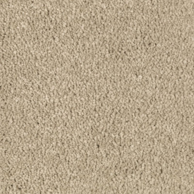 Mohawk Flooring Nature's Charm II