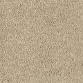 Mohawk Flooring Nature's Charm II