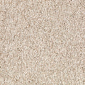 Mohawk Flooring Tonal Chic I