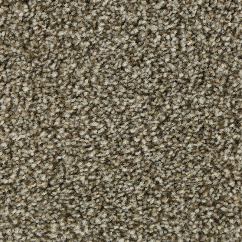 Mohawk Flooring Polished Shades I