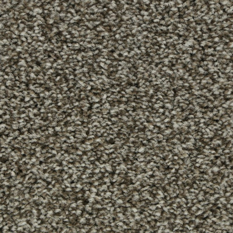 Mohawk Flooring Polished Shades I
