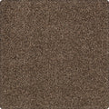 Karastan Tranquil Shades