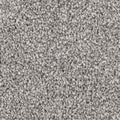 Mohawk Flooring Eloquent Color