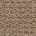 Mohawk Flooring Tailored Essence