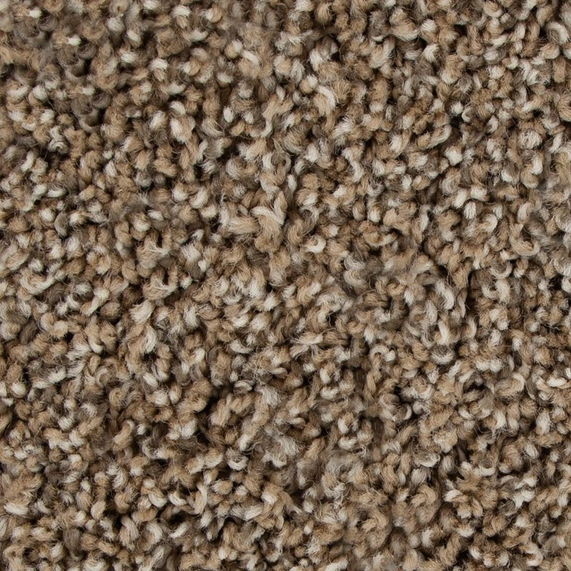 Mohawk Flooring Color Fusion I