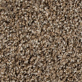 Mohawk Flooring Color Fusion I