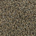Mohawk Flooring Color Harmony I
