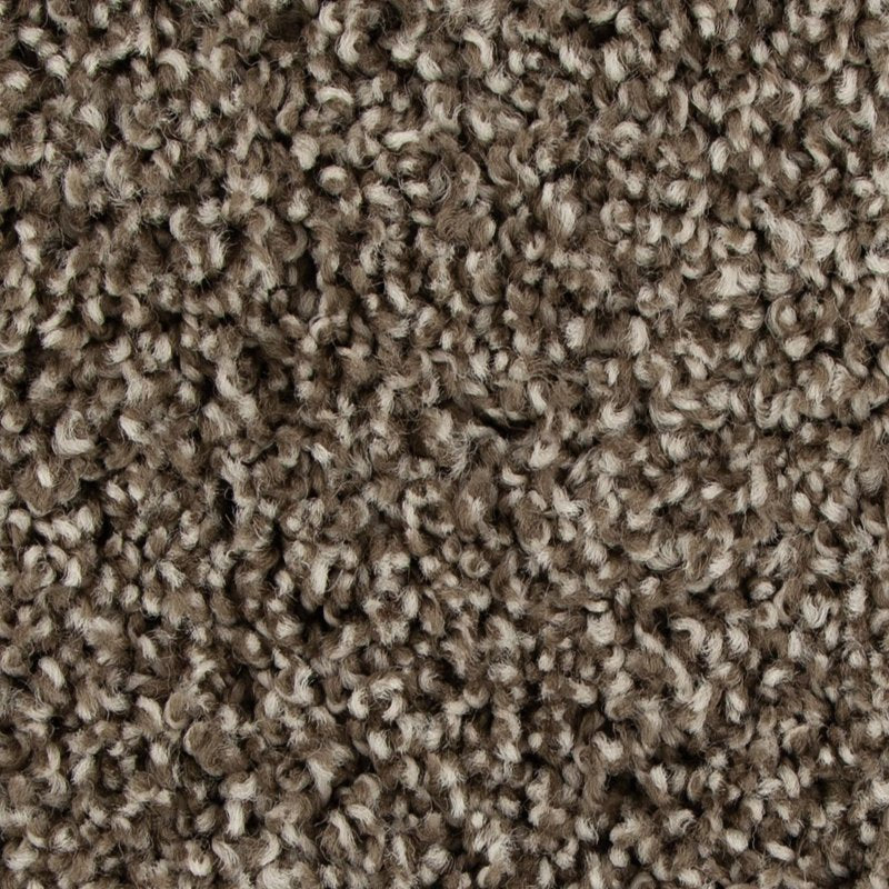 Mohawk Flooring Color Harmony II