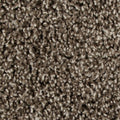 Mohawk Flooring Color Harmony II