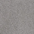 Mohawk Flooring Delicate Tones I