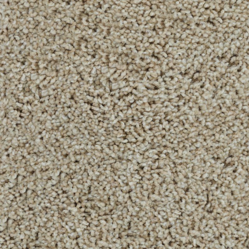Karastan Bold Finish