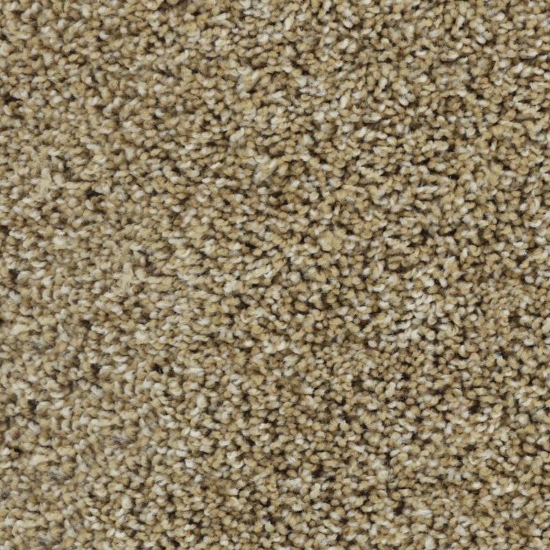Karastan Bold Finish