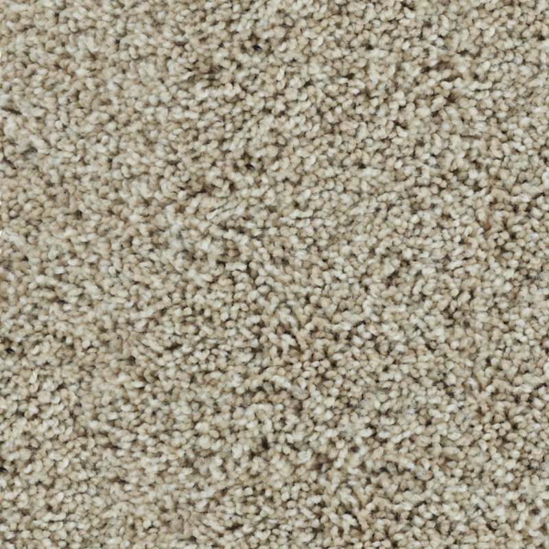 Karastan Bold Finish