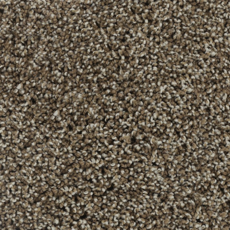 Karastan Bold Finish