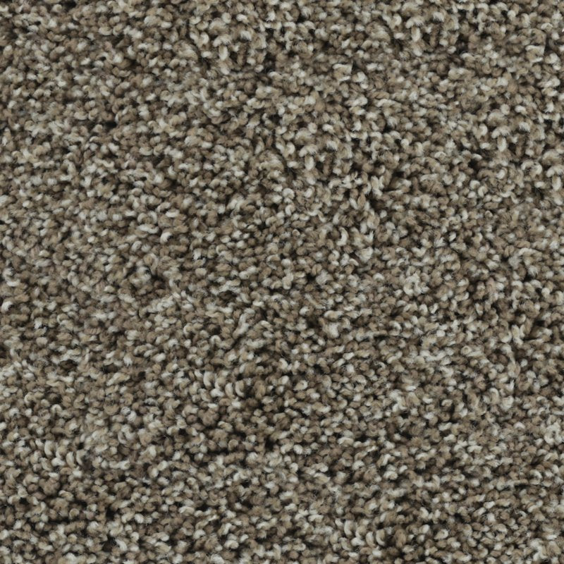 Karastan Bold Finish
