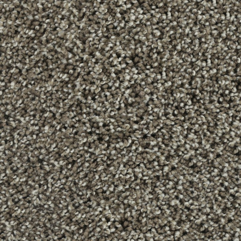 Karastan Bold Finish