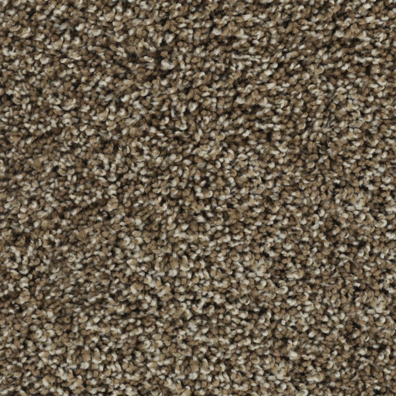 Karastan Bold Finish