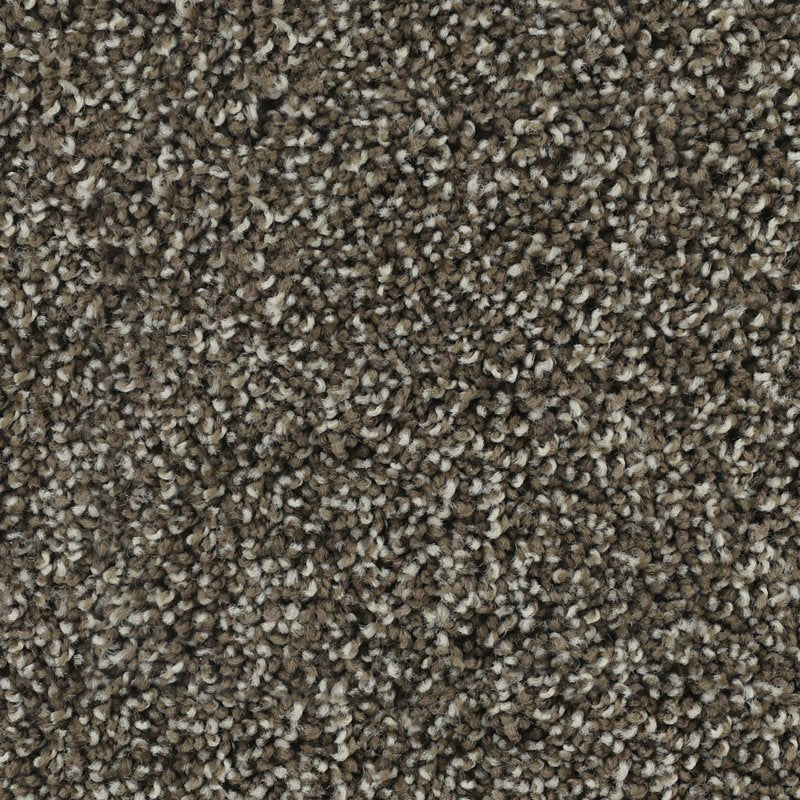 Karastan Bold Finish