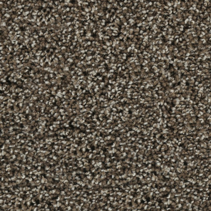 Karastan Bold Finish