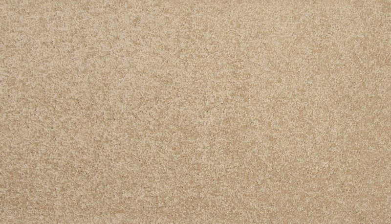 Mohawk Flooring Colorful Blend I