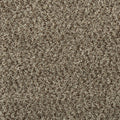 Mohawk Flooring Colorful Blend II
