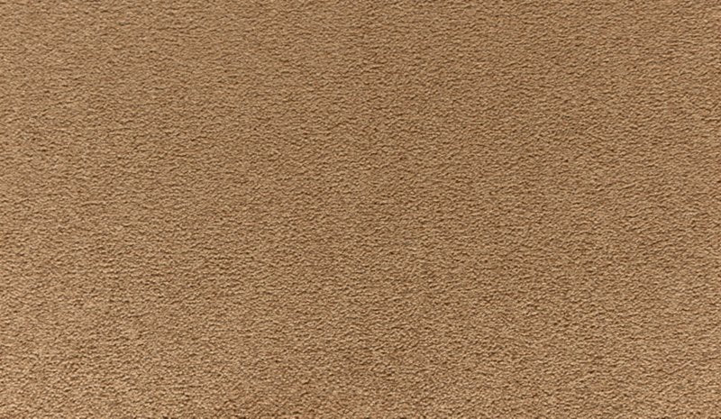 Mohawk Flooring Luxuriant Touch I