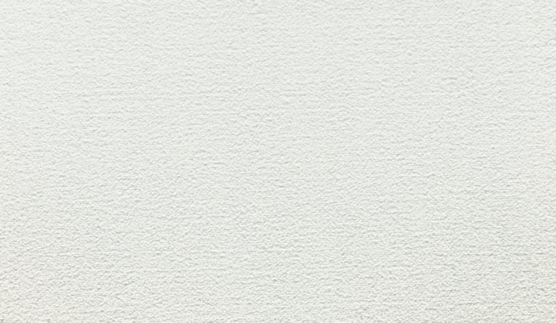 Mohawk Flooring Luxuriant Touch I