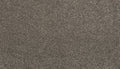 Mohawk Flooring Zestful Traits I