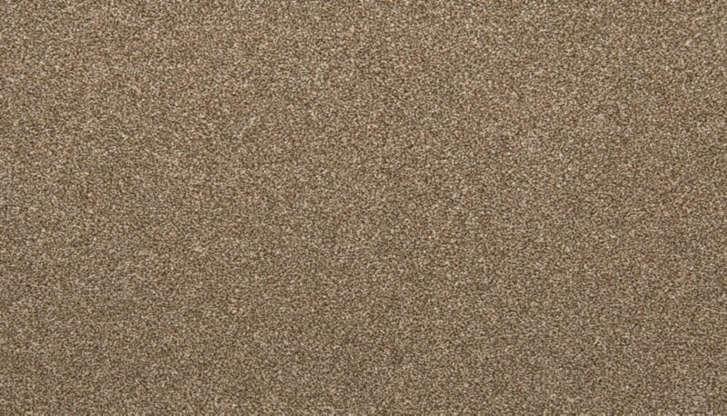 Mohawk Flooring Zestful Traits II