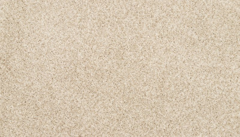 Mohawk Flooring Furocious I