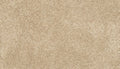 Mohawk Flooring Furocious I