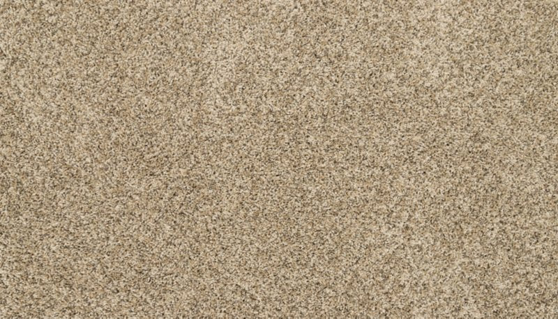 Mohawk Flooring Furocious I