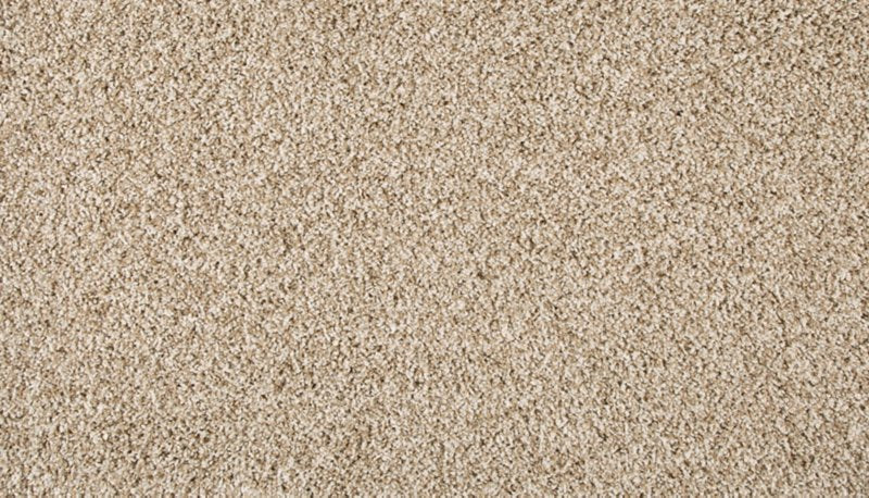 Mohawk Flooring Furocious II