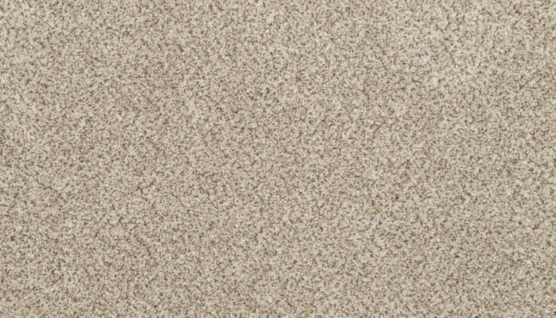 Mohawk Flooring Claws And Effect I