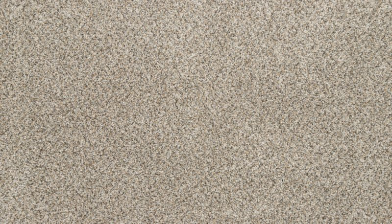 Mohawk Flooring Bon A Pet Treat I