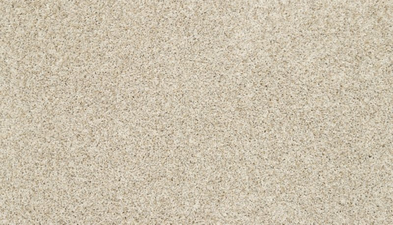 Mohawk Flooring Raise The Woof I