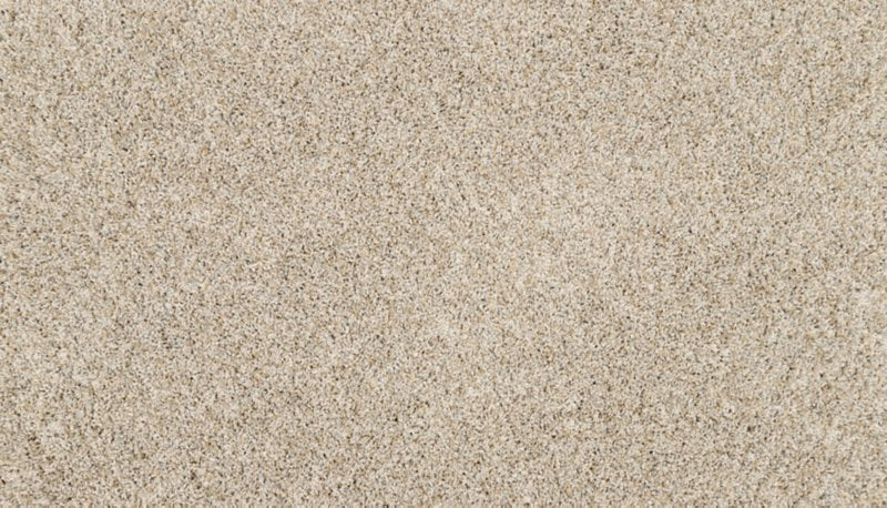 Mohawk Flooring Purrsonality I