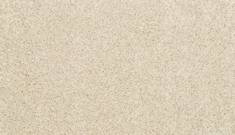 Mohawk Flooring Purrsonality II