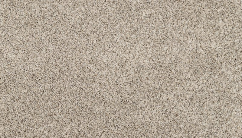 Mohawk Flooring Purrsonality III