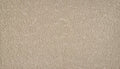 Mohawk Flooring Mineral Earth